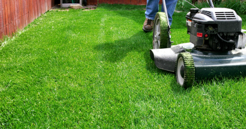 lawnmower and grass