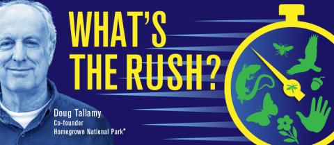 Text: What's the rush with picture of Doug Tallamy