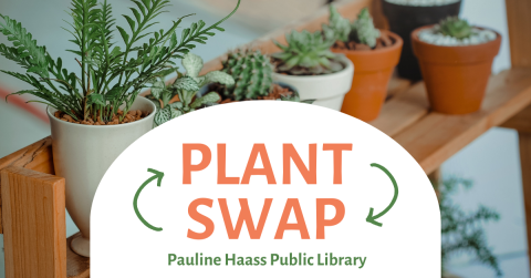 the text plant swap with succulents in the background