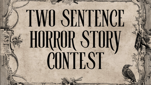 Black gothic frame with a tan textured background behind the text 'two sentence horror story contest'