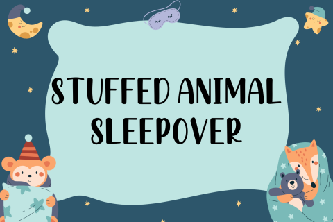 Starry background with blue pillow over it and the words Stuffed Animal Sleepover on it
