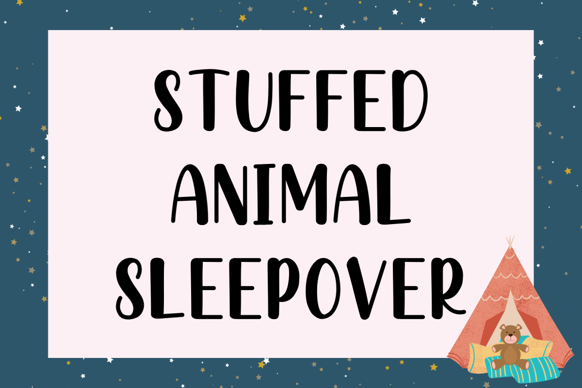 Starry background with pink box over it and the words Stuffed Animal Sleepover on it